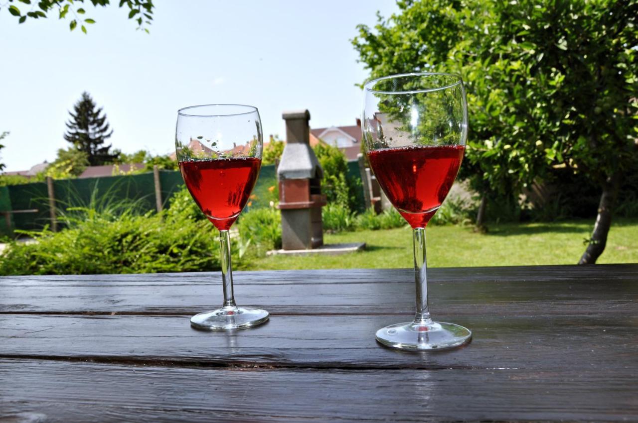 Apartmany Forro Rybarska Veľký Meder 外观 照片